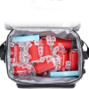 Large Lunch Bag 24-Can (15L)