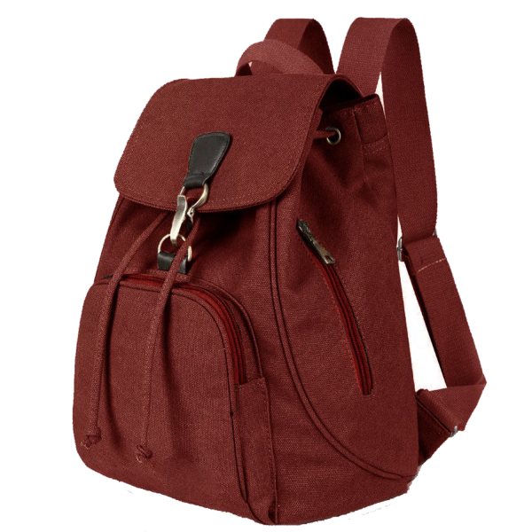 Anti-theft Canvas Backpacks Small Casual Daypack