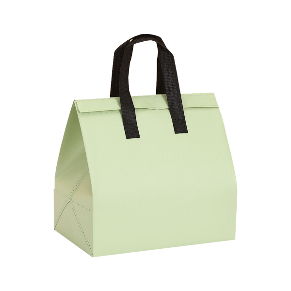 Disposable Insulated Bag