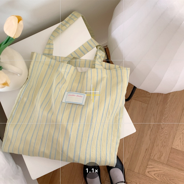 Women's Daily Working Striped Canvas Bag
