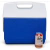 Hard Shell Plastic Insulated Box Food And Beverage
