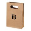 Paper Gift Bag