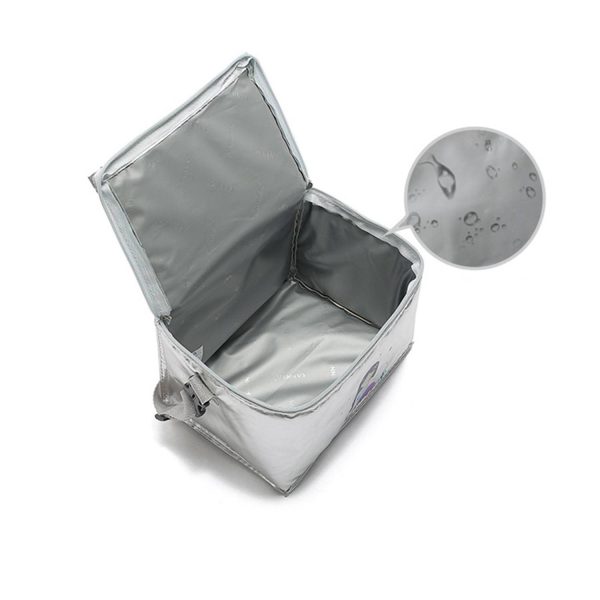 Lunch cooler bag