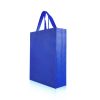 Non-Woven Expedia Tote Bag