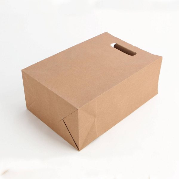 Paper Gift Bag