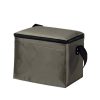 Non-Woven Cooler Bag