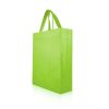 Non-Woven Expedia Tote Bag