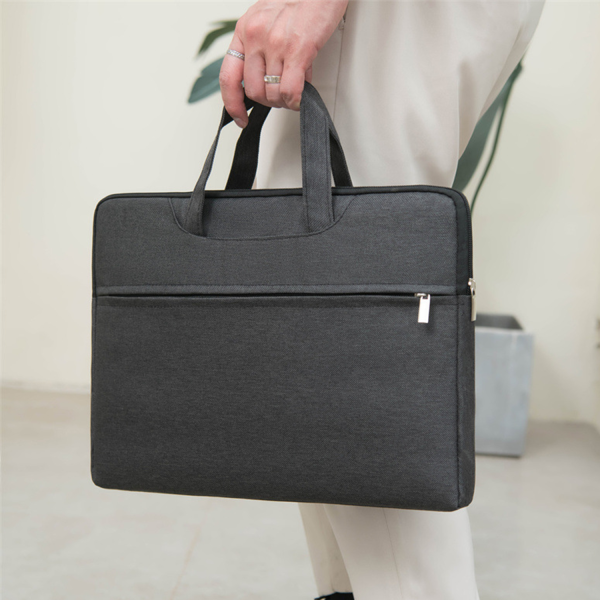 Laptop Carrying Case