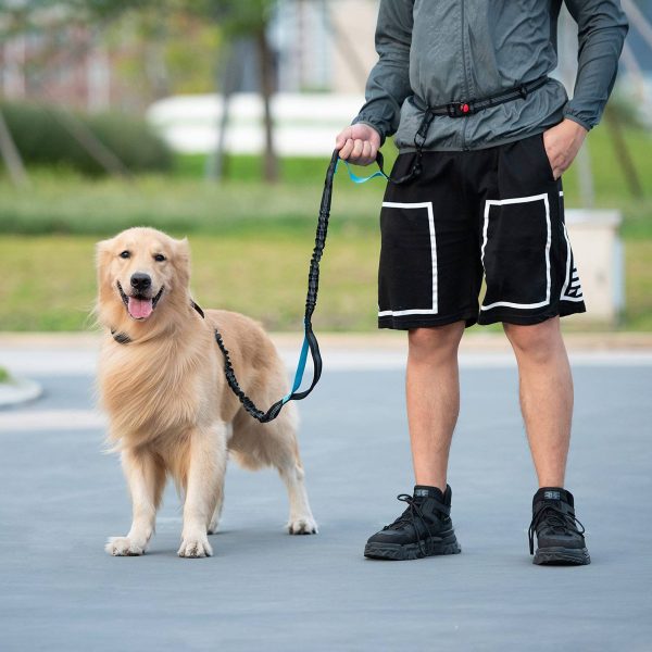 Stretching Dog Leash W/ Waist Bag