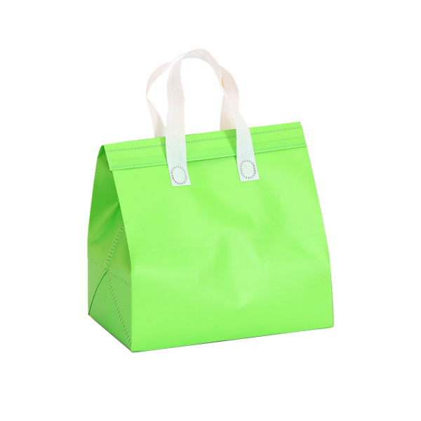 Disposable Insulated Bag