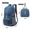 Collapsible Backpack