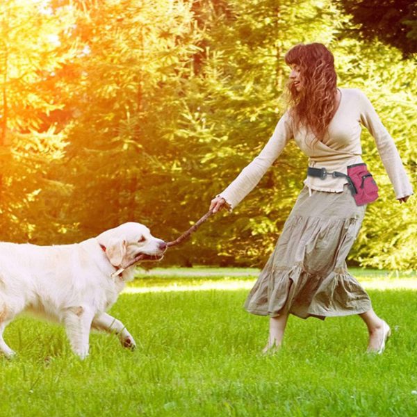 3-in-1 pet treat carrier and waste bag dispenser