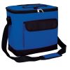 Insulated Bags Leakproof Lunch Cooler Tote
