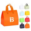 Disposable Insulated Bag