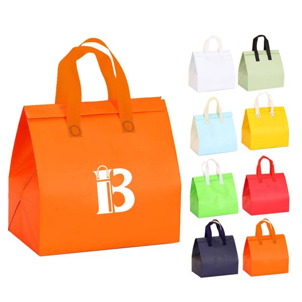 Disposable Insulated Bag