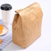 Tyvek Insulated Bag