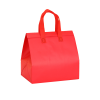 Disposable Insulated Bag
