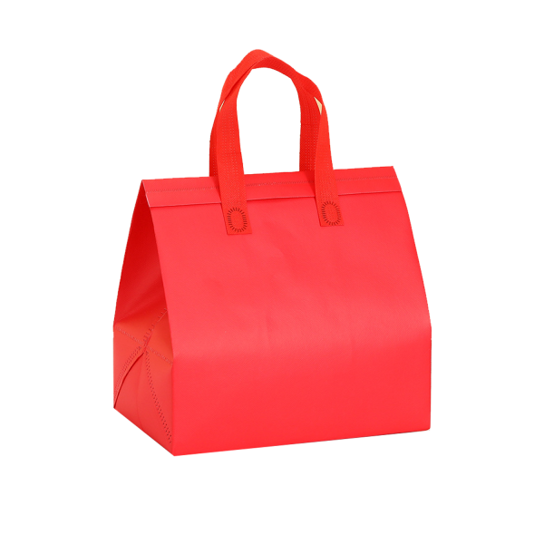 Disposable Insulated Bag