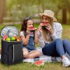Oxford Picnic Large Insulated Cooler Bag Black