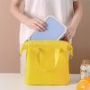 Oxford Insulated Lunch Bag
