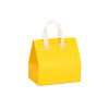 Disposable Insulated Bag