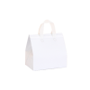 Disposable Insulated Bag