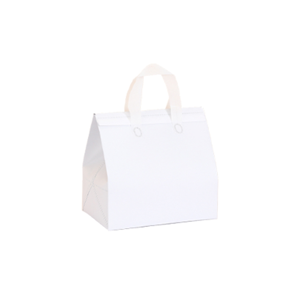 Disposable Insulated Bag