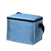 Non-Woven Cooler Bag