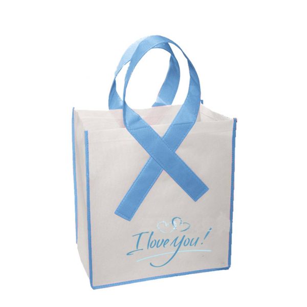 Non-woven Fabric Storage Bag