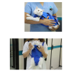 Foldable Pet Carry Bag for Outdoors