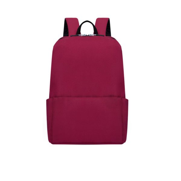 Lightweight Computer Backpack