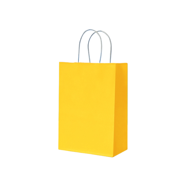 Reusable hand-held kraft paper bag