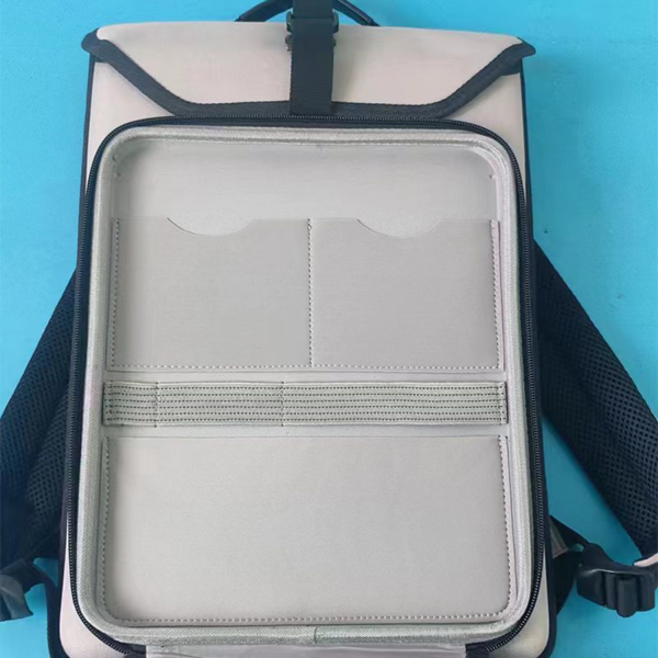 EVA Business Laptop Backpack