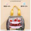 Oxford Insulated lunch Bag Handbag