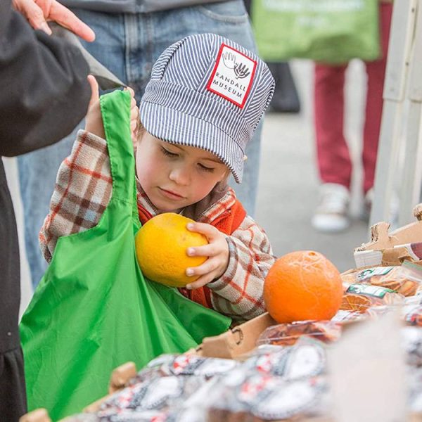 Reusable Foldable Grocery Bag