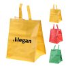 PP Woven Velcro Coated Color Printed Shopping Tote Bag
