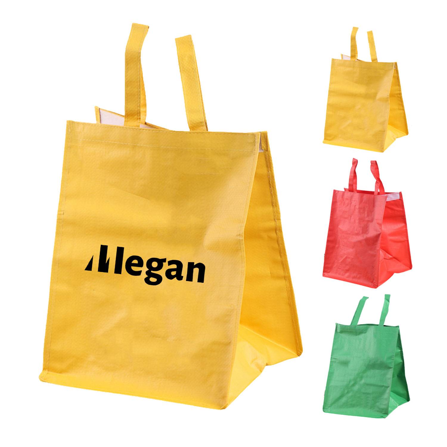 PP Woven Velcro Coated Color Printed Shopping Tote Bag