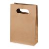 Paper Gift Bag