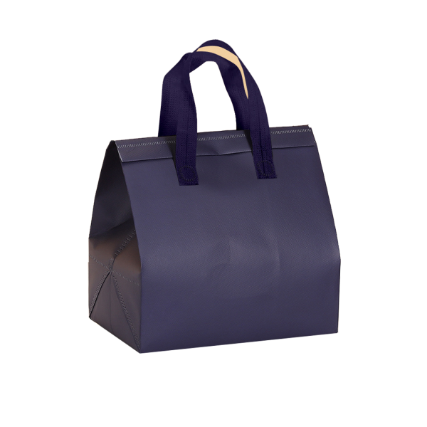 Disposable Insulated Bag