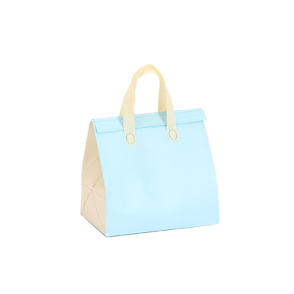 Disposable Insulated Bag