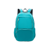 Folding Backpack