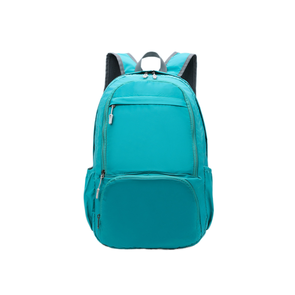 Folding Backpack