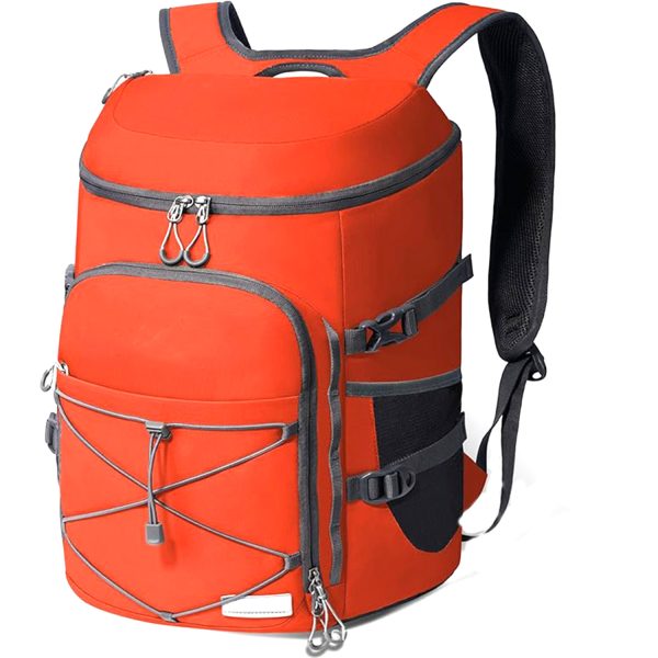 25L Oxford Insulated Backpack for Outdoor Picnic & Travel