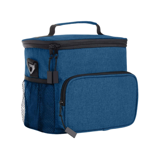 15L Oxford Insulated Cooler Bag w/ Handle for Outdoor Picnic