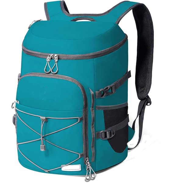 25L Oxford Insulated Backpack for Outdoor Picnic & Travel