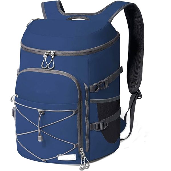 25L Oxford Insulated Backpack for Outdoor Picnic & Travel