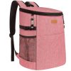 17L Large Insulated Cooler Backpack for Outdoor Camping