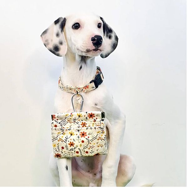 Portable Dog Treat Pouch Pet Training Bag w/ Carabiner