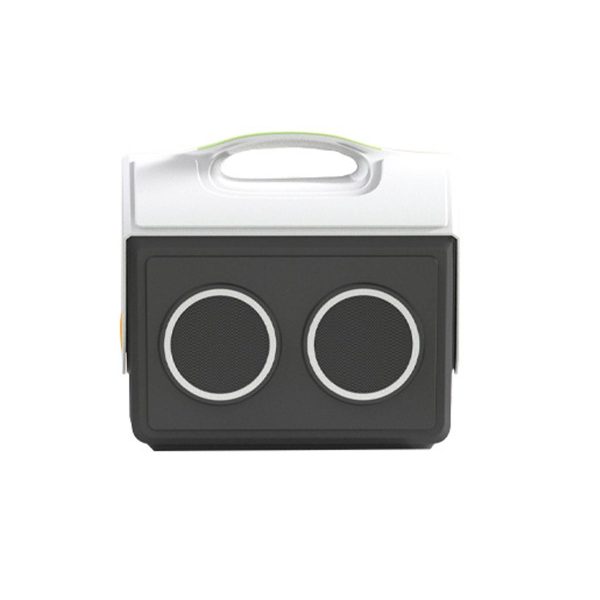 Portable wireless Bluetooth speaker cooler