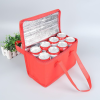 Cake Insulated Takeaway Bag